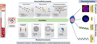 Circulating Tumor Cells in Gastrointestinal Cancers: Current Status and Future Perspectives